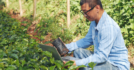 Smart farmer using laptop in eco green farm sustainable quality control. Close up Hand typing...