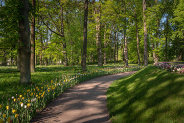Fototapeta premium View of the alley and Flower Slide in Gatchinsky Park on a sunny summer day, Gatchina, Leningrad region, Russia