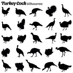 Collection of wild turkey bird silhouette vector illustrations - obrazy, fototapety, plakaty