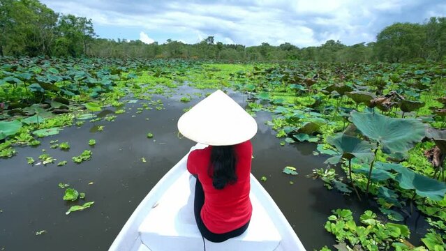Traveler woman on a boat tour along the canals in the mangrove forest. This is an eco tourism area at Mekong Delta  Vietnam