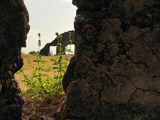 Old church ruins in Joanes, Marajó, Pará, Brazil