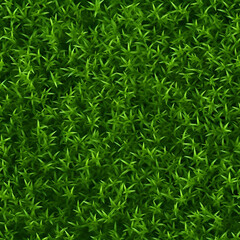 Green Grass seamless texture
