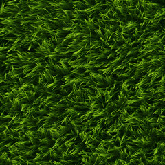 Green Grass seamless texture