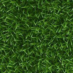 Green Grass seamless texture