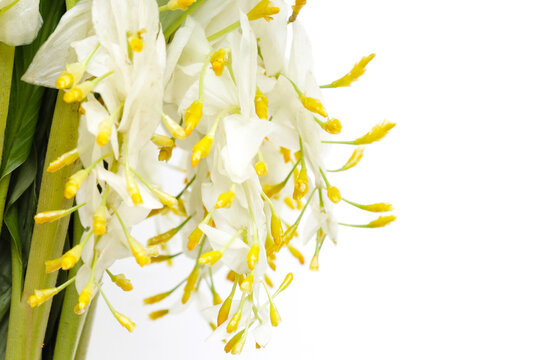 White yellow globba flower bouquet