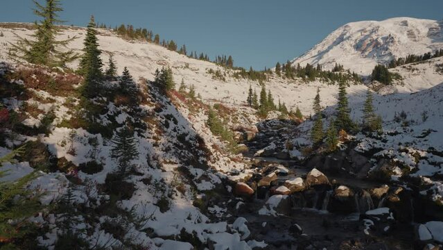 Edith Mountain Creek in Mount Rainier National Park Covered by White Snow during Morning Sunrise in Slow Motion