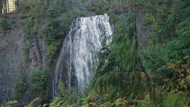 Narada Falls The Magical Waterfall Beautiful Cascade in Mount Rainier National Park, Washington, USA in Slow Motion