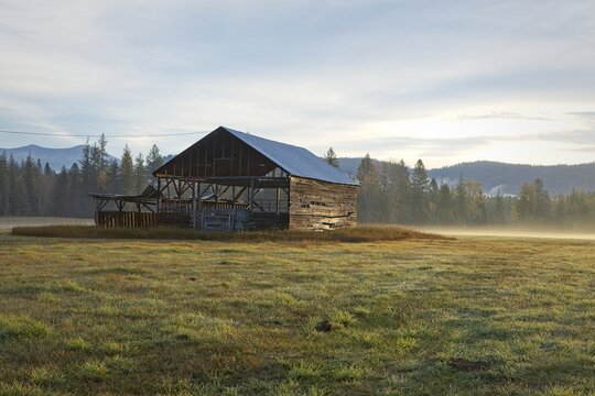 Old barn in the morning light.
