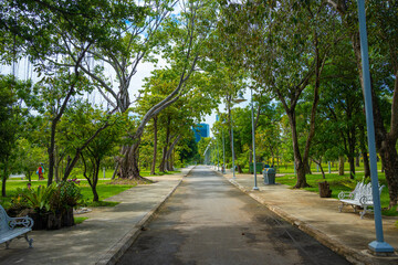 Fototapeta na wymiar Asplalt running walk way in city public park with green tree forest and office building