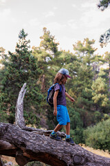 Naklejka premium boy walks on top of a fallen tree in the forest. Children's leisure, a happy child climbs a tree and has fun.
