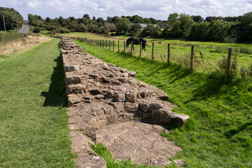 first (or last) stretch of Hardians Wall visible on the Hardian's Wall Path, Heddon-on-the-Wall,...