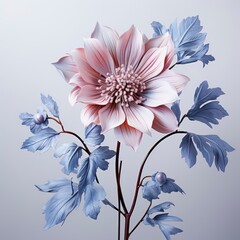 Pink Flower With White Blue Bottomphotorealistic P, Hd , On White Background 