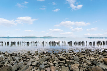 Coastal and cross-sea bridges