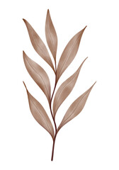 Watercolor Fall Leaves