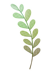 Green Watercolor Leaves Clip Art