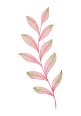 Pink Watercolor Leaves
