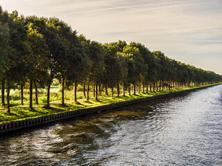 Row Of Trees Down The Canal