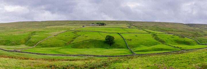 Fototapeta na wymiar panoramic view looking out over walled pastures in the North Pennines Area of Outstanding Natural Beauty (ANOB), near Stanhope, Durham, UK