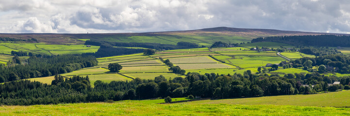 Obraz premium looking out over walled pastures, in the North Pennines Area of Outstanding Natural Beauty (ANOB), near Stanhope, Durham, UK