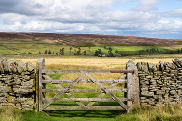 looking out over walled pastures and heather moors, in the North Pennines Area of Outstanding Natural Beauty (ANOB), near Blanchland, Durham, UK