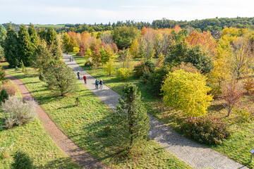 Tharandt - Forstbotanischer Garten - Indian Summer