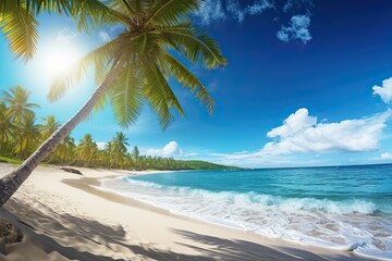 Beach Palm Tree and Beautiful Tropical Sea: Stunning Nature Landscape View in Sunny Day