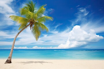 Beach Palm Tree: Stunning Abstract Background of a Tropical Palm Tree on a Beach with Blue Sky and White Clouds