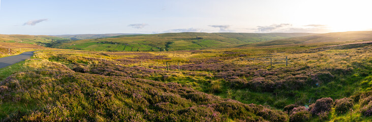 Fototapeta na wymiar panoramic view of sunset over the heather moors of the North Pennines Area of Outstanding Natural Beauty (ANOB), near Stanhope, Durham, UK