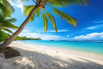 Beach Palm Tree: Beautiful Tropical Landscape of Sunny Day, Nature Beach and Sea View