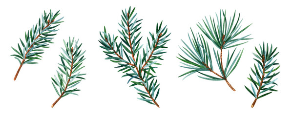 Branches of Christmas tree, set illustration botanical watercolor style. Watercolor illustration for greeting cards, invitations, and other printing projects - obrazy, fototapety, plakaty