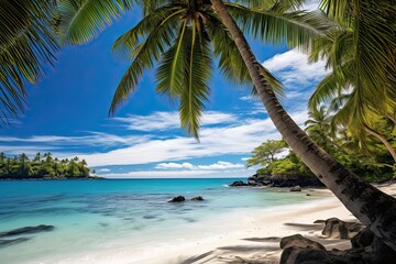 White-Sand Paradise: Captivating Beach Scenes with Coco Palms, Embracing Tropical Beauty