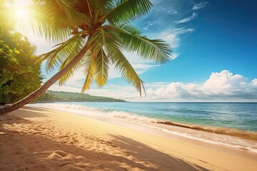 Beautiful Tropical Beach and Palm Tree: Nature Landscape View of Sunny Day by the Sea