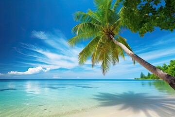 Beach with Palm Tree: Stunning Beach Sea View to Relax and Unwind