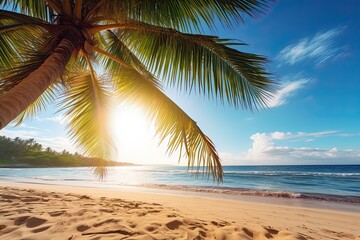 Tranquil Beach with Palm Tree: Capturing the Relaxing Sunlight and Summer Mood at the Beach