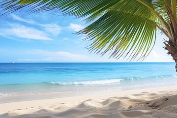 Beach with Palm Tree: Soft Waves of Blue Ocean on Sandy Beach Background