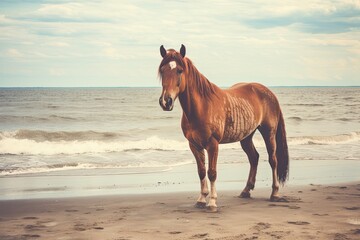 Vintage Tone Filter Effect Color Style: Beach with Horse on Beach