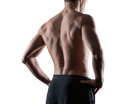 Attractive muscular sensual man posing back view