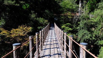 山の吊り橋