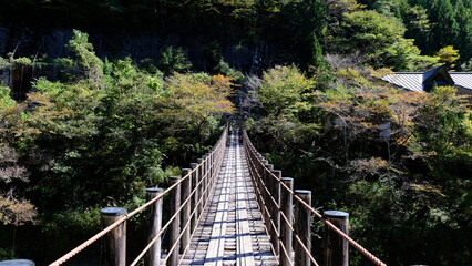 Fototapeta premium 山の吊り橋