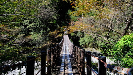 山の吊り橋