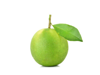 Citrus sinensis isolated on the white background