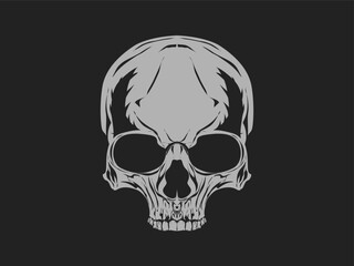 Vintage illustration of skull. On black background