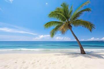 Empty Tropical Beach and Seascape: Palm Tree on Beach - Serene Escape in Paradise