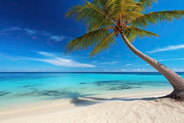 Fototapeta na wymiar Empty Tropical Beach and Seascape: Palm Tree on Beach - Serene Paradise for a Tranquil Escape