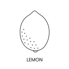 Lemon line icon in vector, citrus fruit illustration