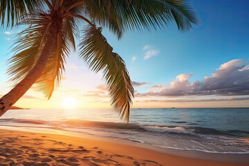 Palm Tree Beach Sunset: Tranquil Relaxing Sunlight & Summer Mood at Beach