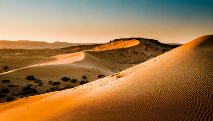 Fototapeta na wymiar Golden Hour Magic Desert Landscape at Dusk