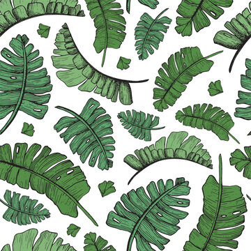 Vector green tropical palm leaves seamless pattern with jungle plants. Hand drawn exotic nature for prints, wrapping, fabric or wallpapers
