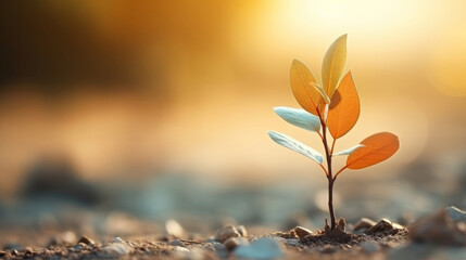 Small plant growing against orange blur background. Copy space. Eco concept.Small plant growing against blur background. Copy space. Eco concept.
