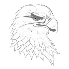 eagle head tattoo hand drawn vector illustration